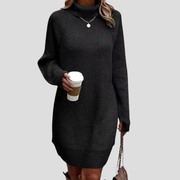 Evie | Knit Turtleneck Mini Dress