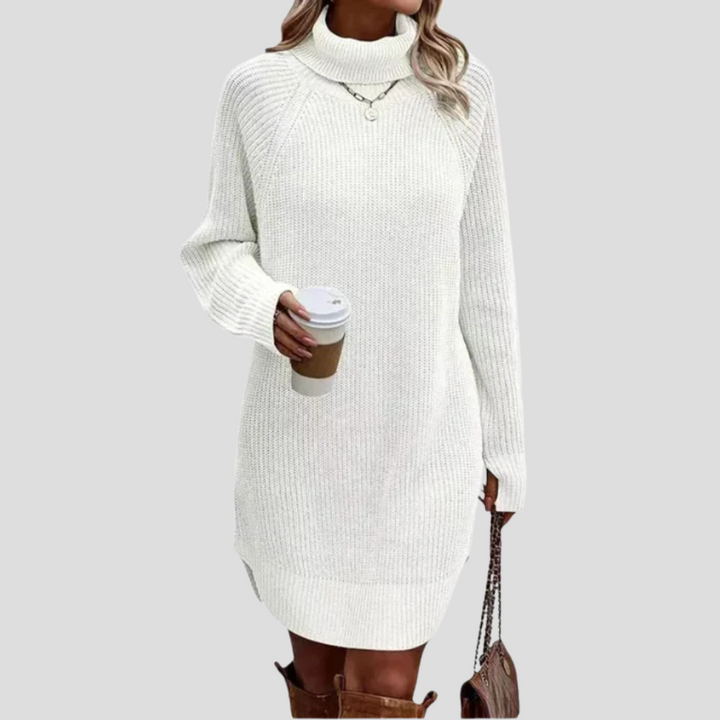 Evie | Knit Turtleneck Mini Dress