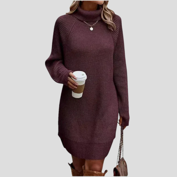 Evie | Knit Turtleneck Mini Dress