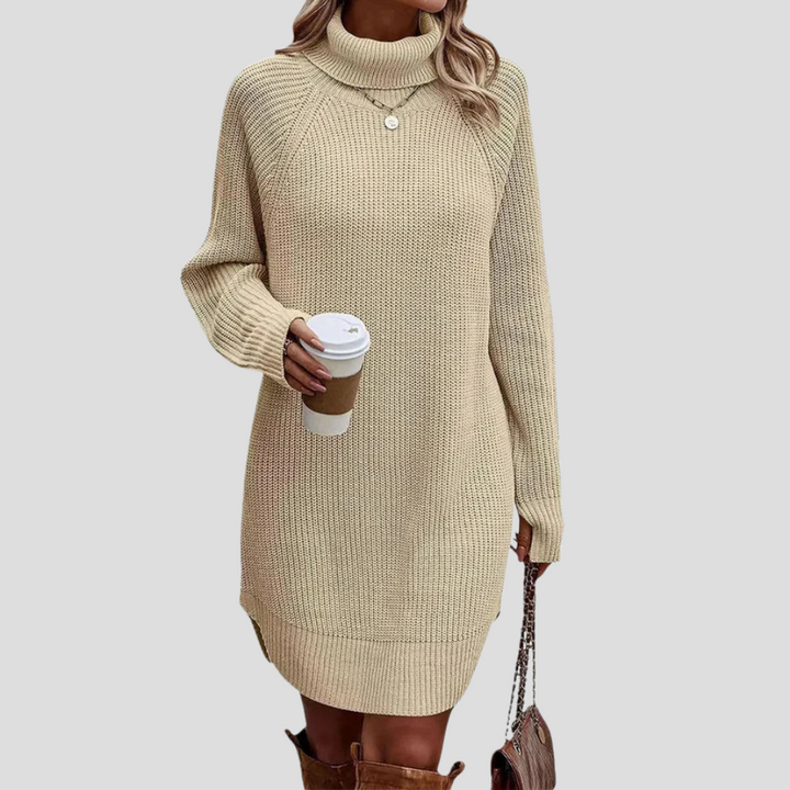 Evie | Knit Turtleneck Mini Dress